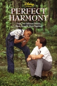 Perfect Harmony' Poster