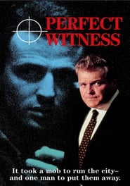 Perfect Witness' Poster