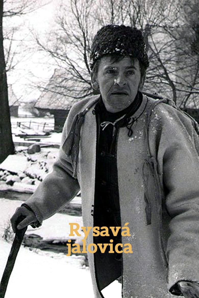 Rysavá jalovica Poster
