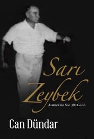 Sari Zeybek