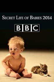 Secret Life of Babies' Poster