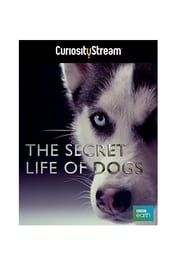Secret Life of Dogs' Poster