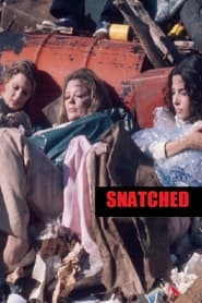 Snatched' Poster