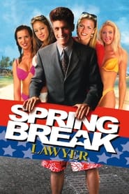 Spring Break Lawyer' Poster