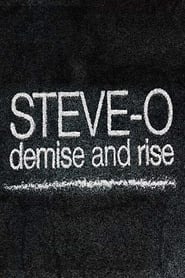 SteveO Demise and Rise' Poster
