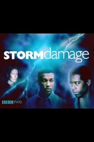 Storm Damage' Poster