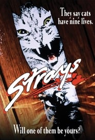Strays' Poster