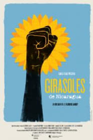 Sunflowers of Nicaragua' Poster