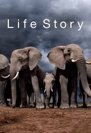 Streaming sources forLife Story