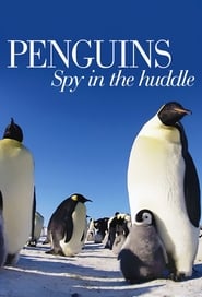 Penguins Spy in the Huddle