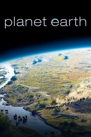 Planet Earth Poster