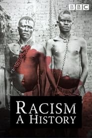 Racism A History