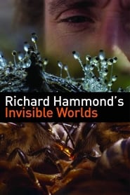 Richard Hammonds Invisible Worlds' Poster