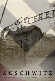 Auschwitz Inside the Nazi State' Poster