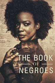 Streaming sources forThe Book of Negroes
