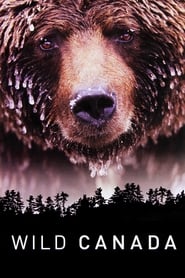 Wild Canada' Poster