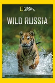 Wild Russia' Poster
