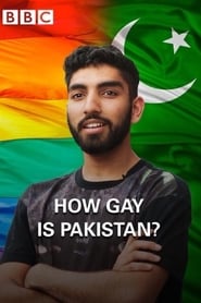 How Gay Is Pakistan' Poster