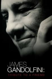 James Gandolfini Tribute to a Friend' Poster