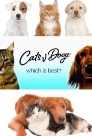 Cats v Dogs Which Is Best' Poster