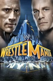 WrestleMania 29' Poster