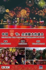 Chinese New Year The Biggest Celebration on Earth' Poster