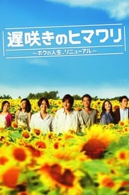 Late Blooming Sunflower My Life Renewal' Poster