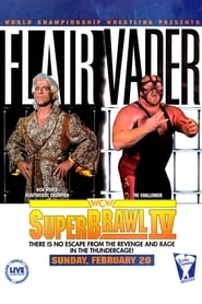 WCW SuperBrawl IV' Poster