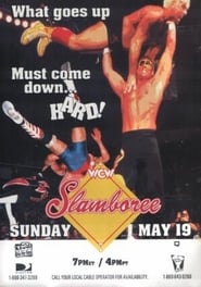 WCW Slamboree 96 Lethal Lottery' Poster