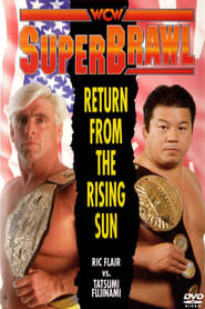 WCW SuperBrawl I' Poster