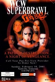 WCW SuperBrawl Revenge' Poster