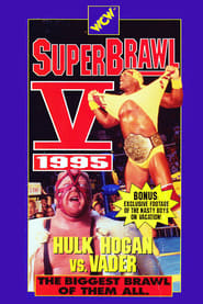 WCW SuperBrawl V' Poster