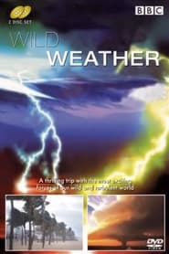 Wild Weather' Poster