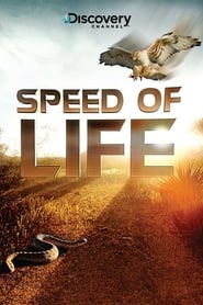Speed of Life' Poster