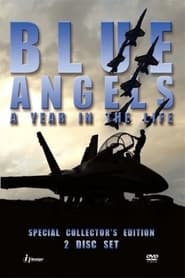 Blue Angels A Year in the Life' Poster