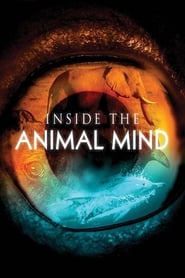 Inside the Animal Mind' Poster