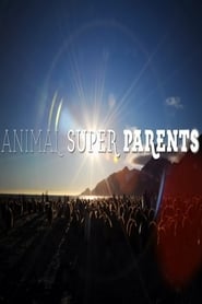 Animal Super Parents' Poster