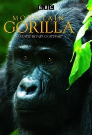 BBC Mountain Gorilla' Poster