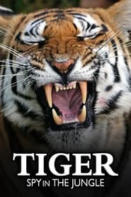 Tiger Spy in the Jungle' Poster