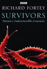 Survivors' Poster