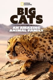 Big Cats An Amazing Animal Family' Poster