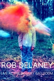 Rob Delaney Live at the Bowery Ballroom' Poster