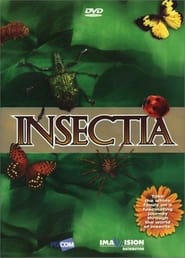 Insectia' Poster