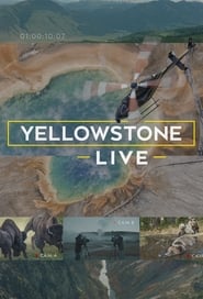 Yellowstone LIVE' Poster