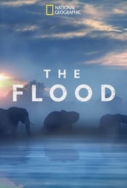 Streaming sources forThe Flood