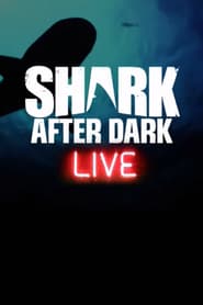 Shark After Dark' Poster