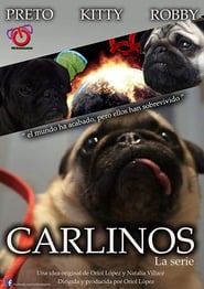 Carlinos la serie' Poster
