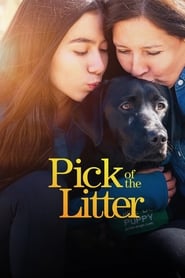 Pick of the Litter' Poster
