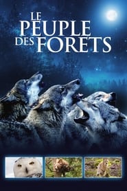 The Forest Kingdom' Poster