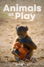 Animals at Play' Poster